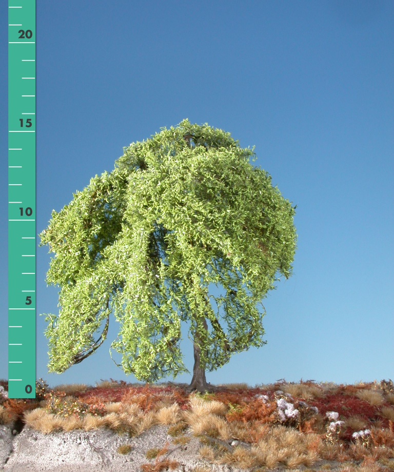 Silhouette 240-01 - Trauerweide/ Weeping willow